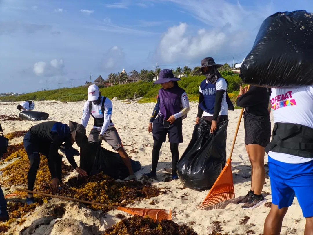 Marina and Sema Join Tulum Residents for Two Beach Cleanup Days at Playa del Pueblo Group of volunteers collecting seaweed and debris from a sandy beach under blue skies
