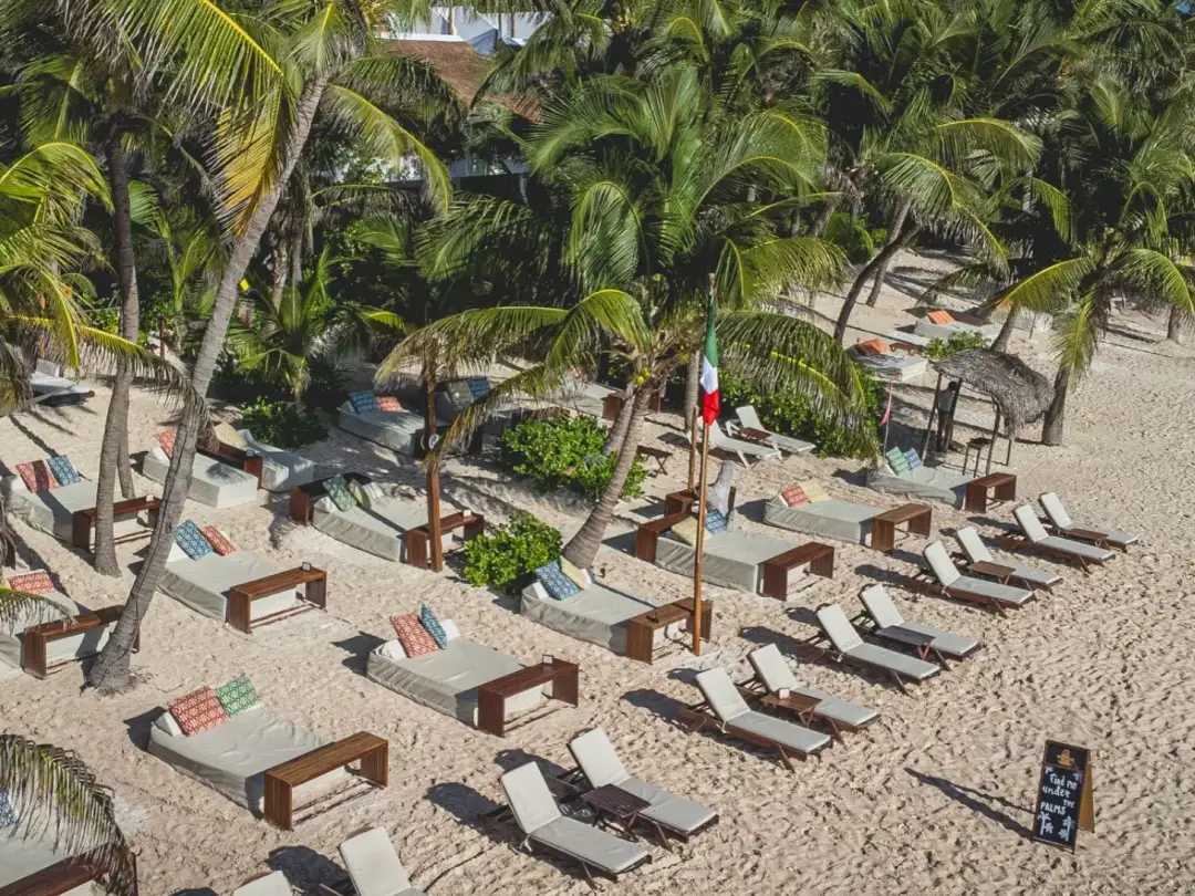 Beach resort with lounge chairs arranged beneath palm trees on sand, few visitors visible among the seating area