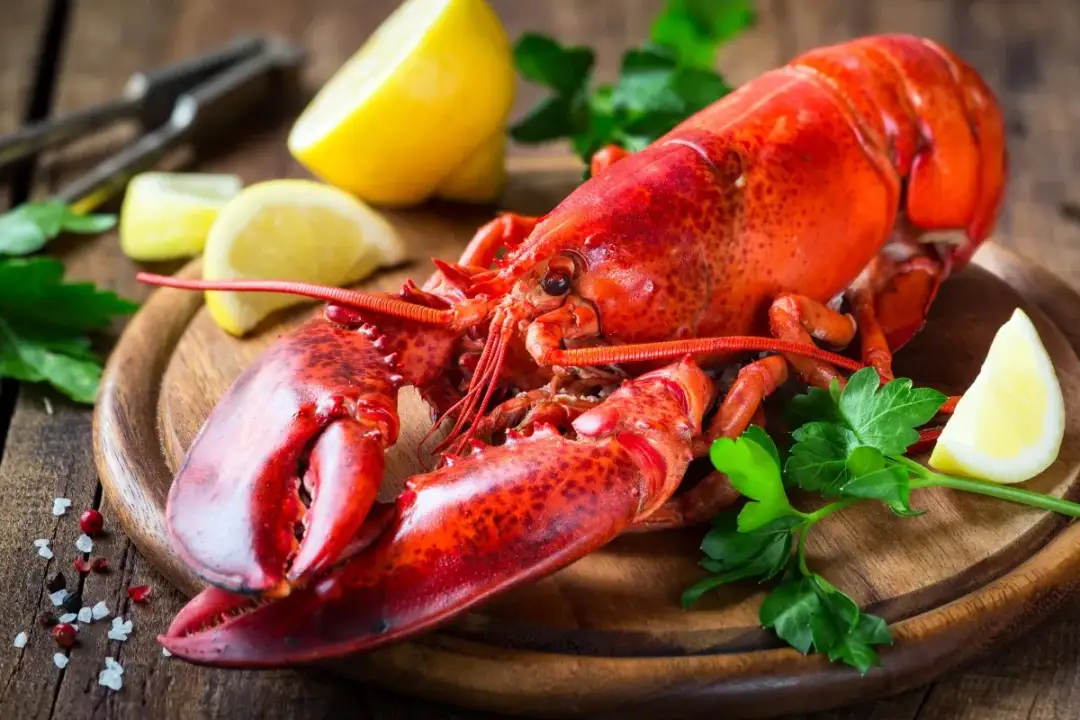 Tulum Lobster Festival runs August 21 to 23 in two venues Raw lobster on a wooden board garnished with lemon wedges and parsley