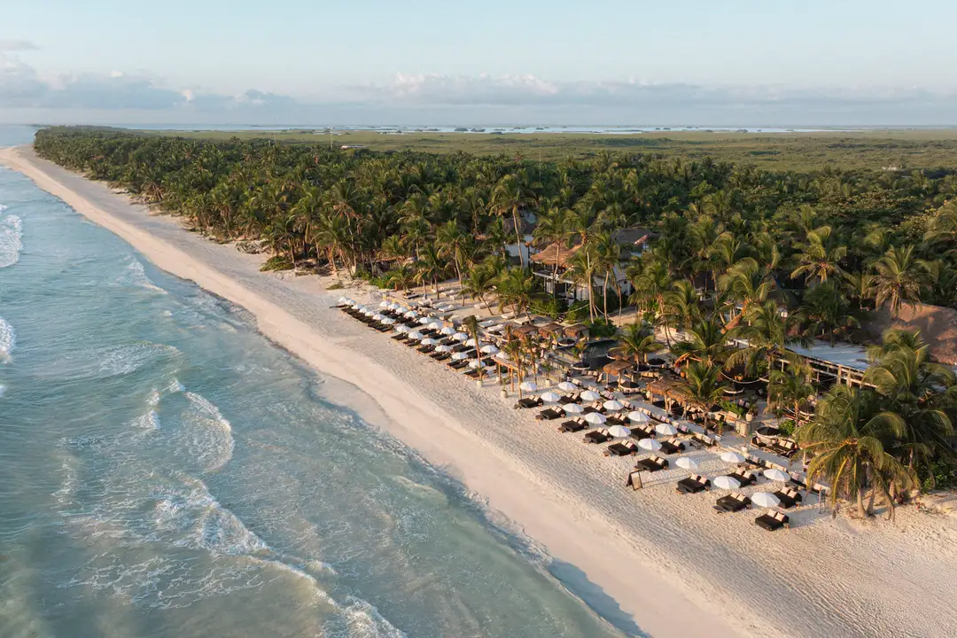 Gitano Beach and the Recognition It Earned from Tulum Readers Gitano Beach and the Recognition It Earned from Tulum Readers
