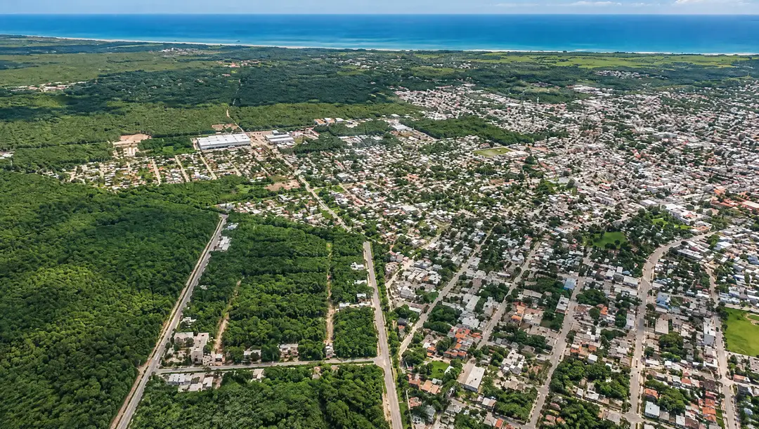 Aerial view of a coastal town with dense residential development on the right transitioning to forested land on the left, with ocean visible at the top