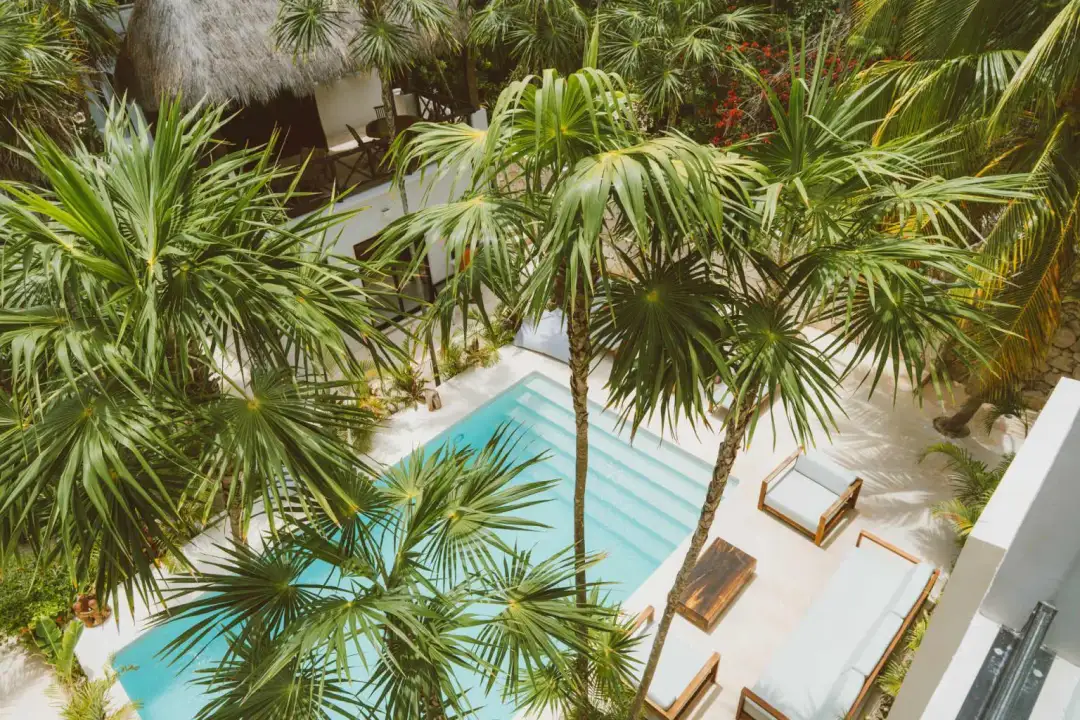 The Ultimate Guide to the Tulum Real Estate Market