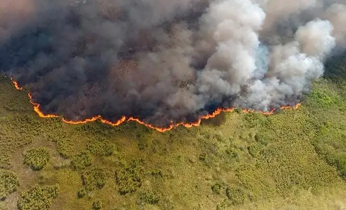 Devastating Blaze Engulfs Sian Ka’an Reserve in Quintana Roo
