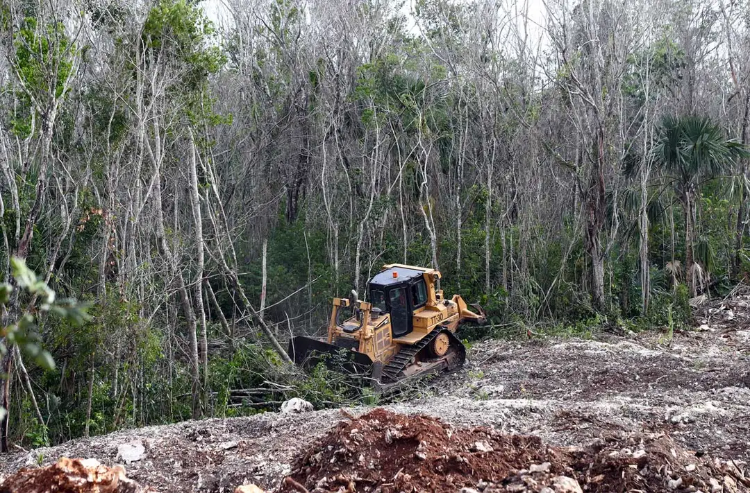Tren Maya Expansion Risks Repeat Environmental Harm in New Zone