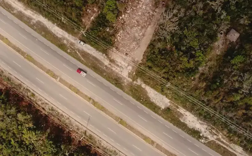 Residents Challenge Unauthorized Road Development in Tulum