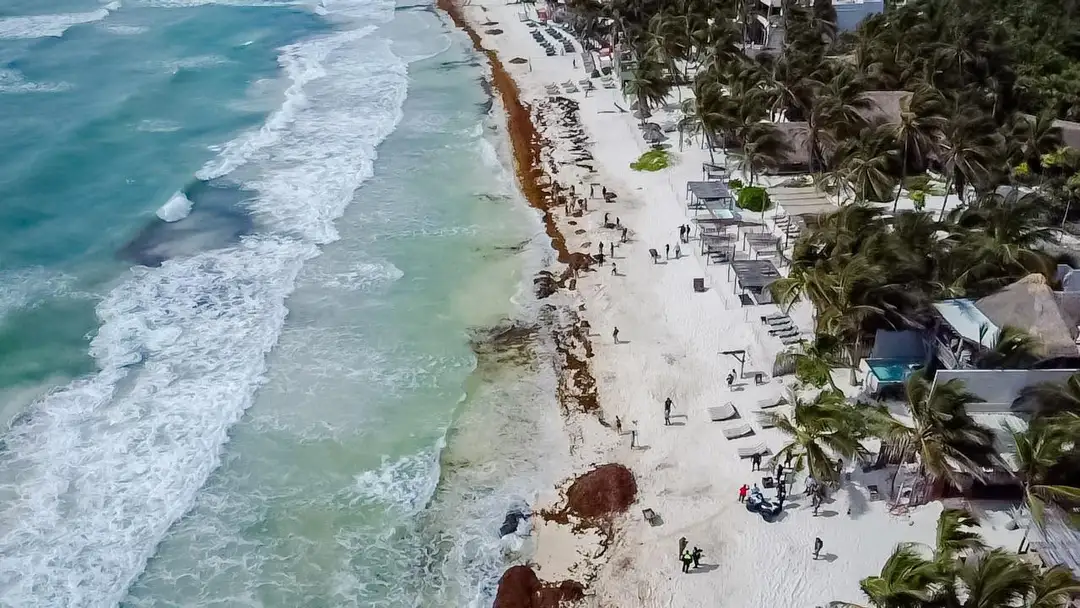 Urgent Plan Needed to Revive Tulum Tourism