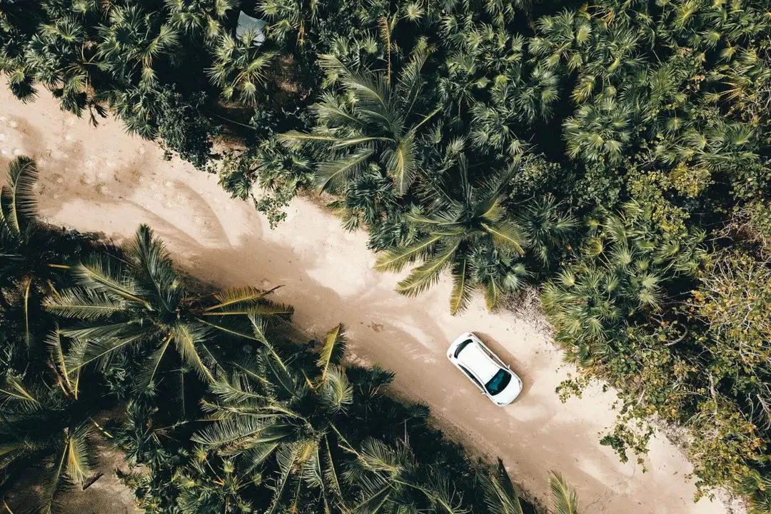Tulum Safety for Tourists, Walking the Line Between Paradise and Precaution