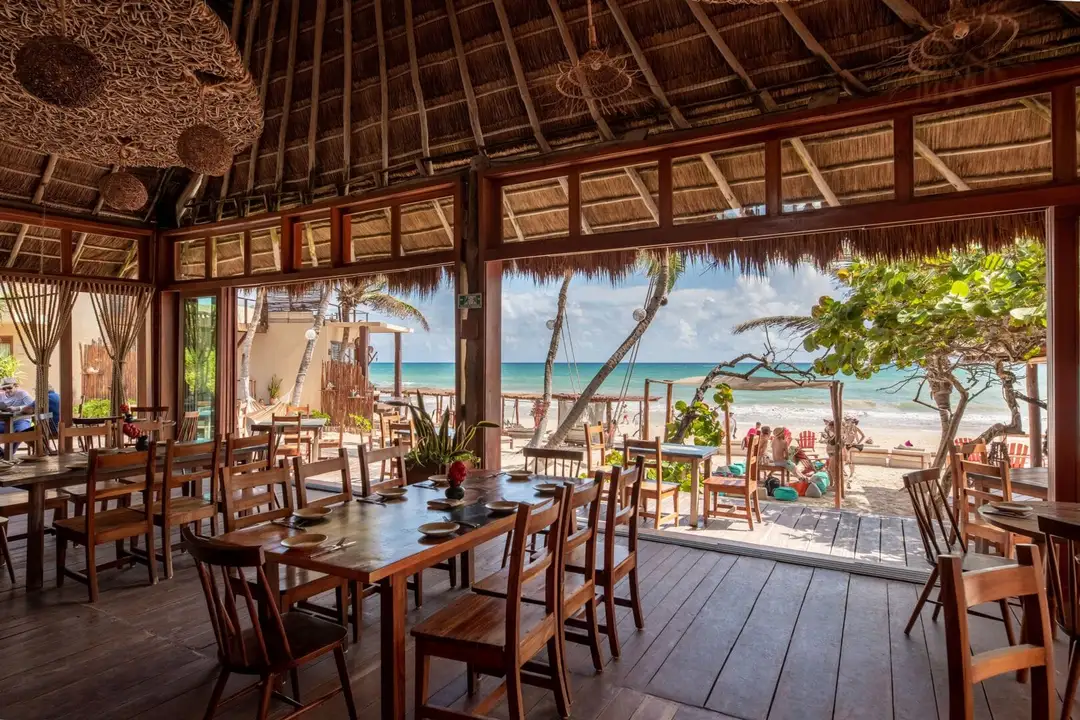 Tulum Hotel Occupancy to Reach 80% This Summer Amid Sargassum