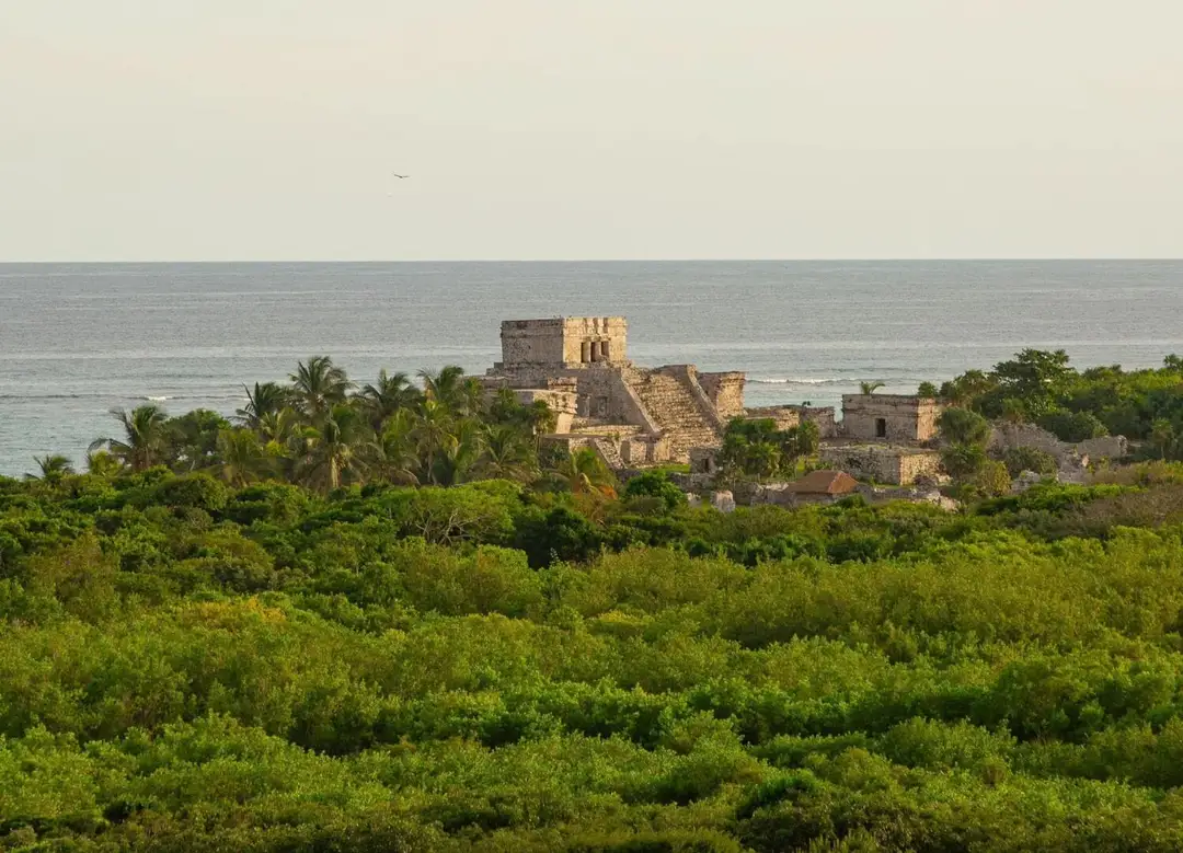 Unlock Free Entry to Parque del Jaguar in Tulum with New Resident ID Unlock Free Entry to Parque del Jaguar in Tulum with New Resident ID