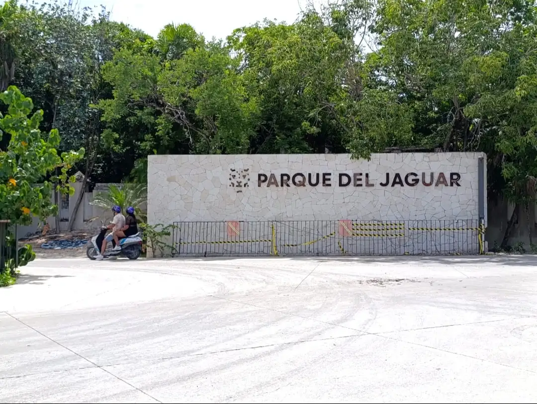 A Fence in the Sand Sparks a War Over Tulum’s Public Lands
