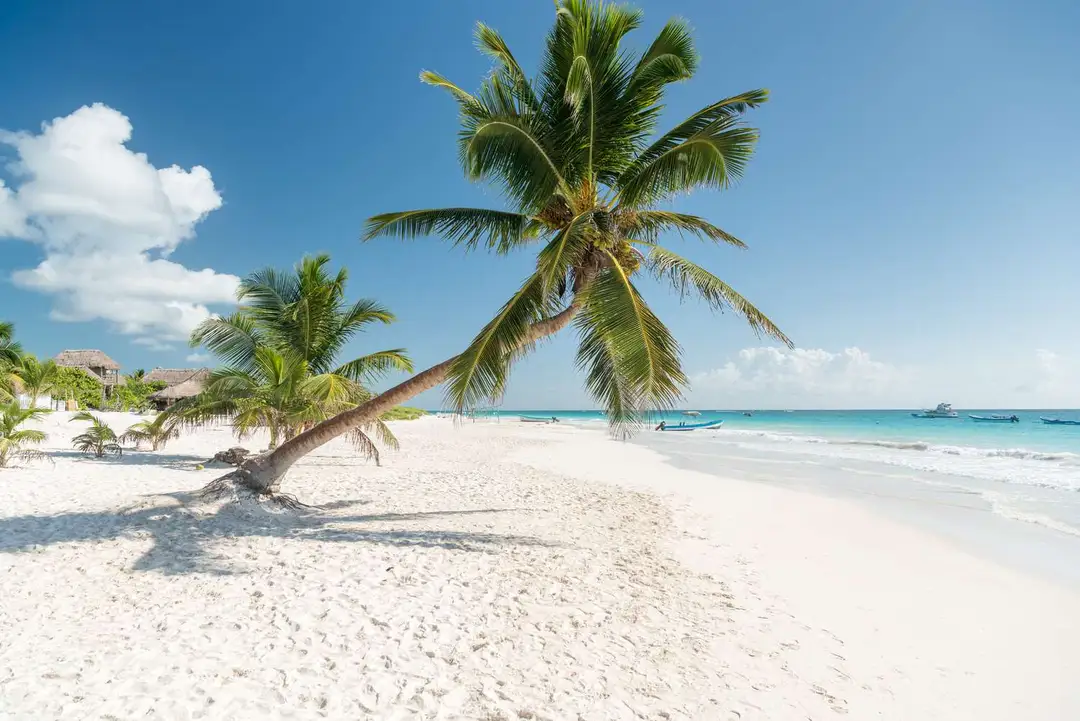 Mexico reopens Tulum public beaches to boost tourism Mexico reopens Tulum public beaches to boost tourism