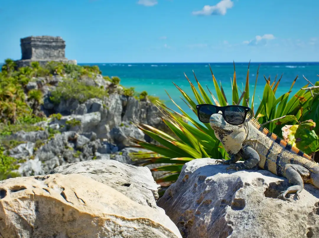 Tulum Safety and Scams Survival Guide 2026