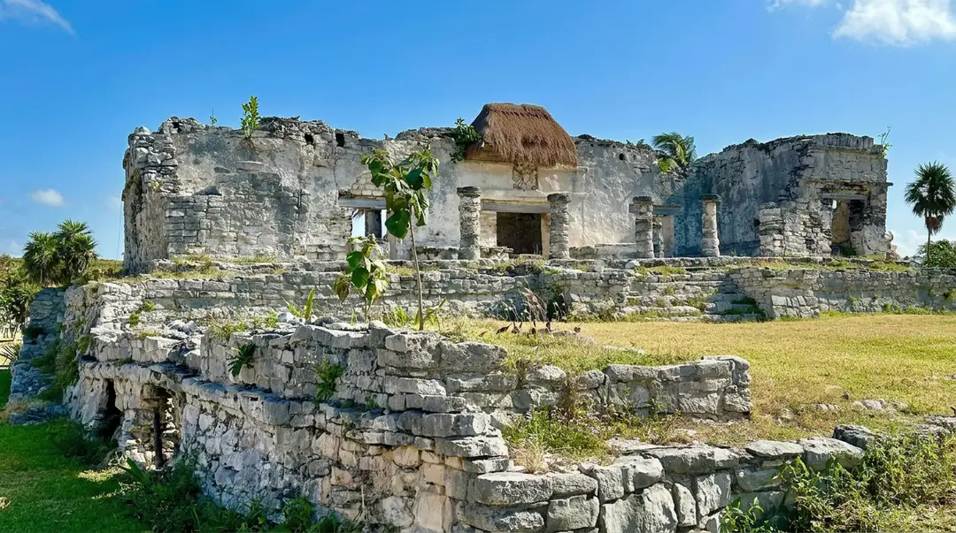 Ruins of a stone structure with partially collapsed walls and openings, surrounded by grass and palm trees under clear sky