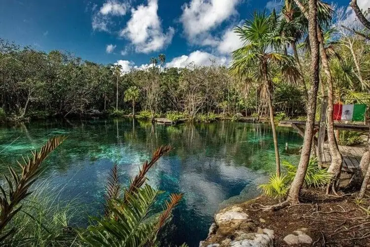 A cenote with clear turquoise water surrounded by tropical vegetation, palm trees, and limestone formations under a blue sky with white clouds A cenote with clear turquoise water surrounded by tropical vegetation, palm trees, and limestone formations under a blue sky with white clouds