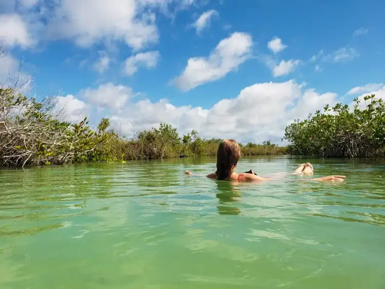 People swimming in shallow turquoise water surrounded by mangrove trees under a blue sky with white clouds