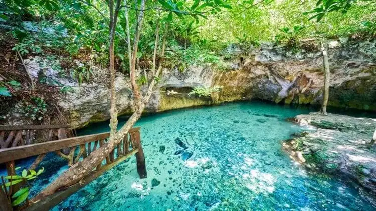 A wooden railing overlooks a turquoise cenote surrounded by limestone cliffs and forest trees A wooden railing overlooks a turquoise cenote surrounded by limestone cliffs and forest trees