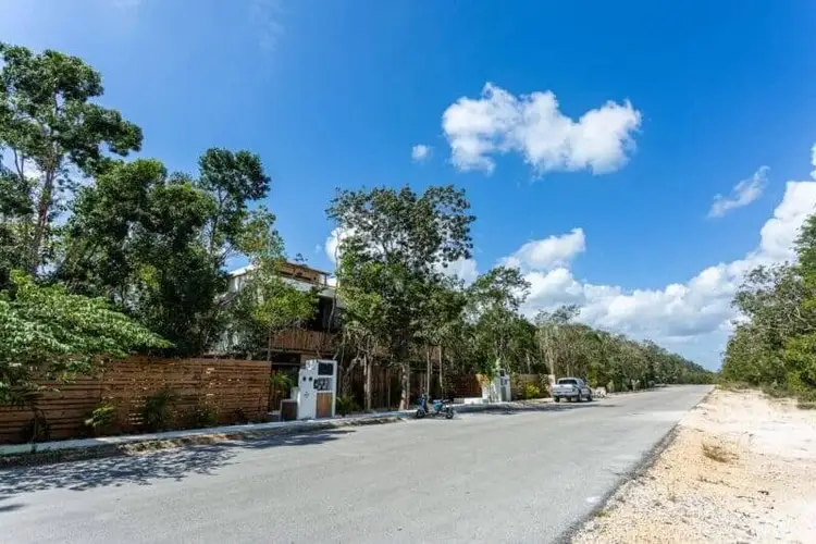 A straight paved road lined with tall trees stretches into the distance, with wooden structures and a white vehicle visible on the left side under a blue sky wi