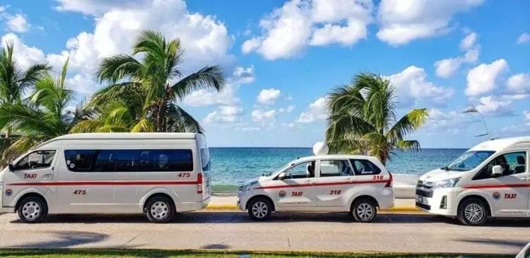 Three white and red taxis parked in a row along a beach road with palm trees and ocean in the background