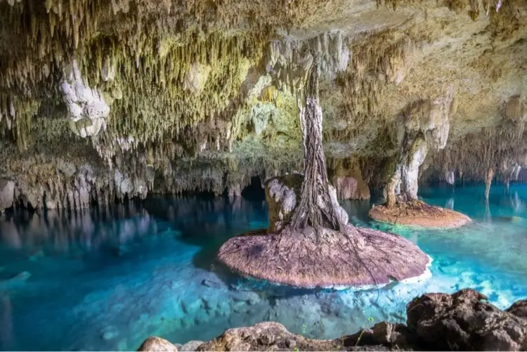 Ancient tree stands on an island in a turquoise underground lake surrounded by cave walls and stalactites