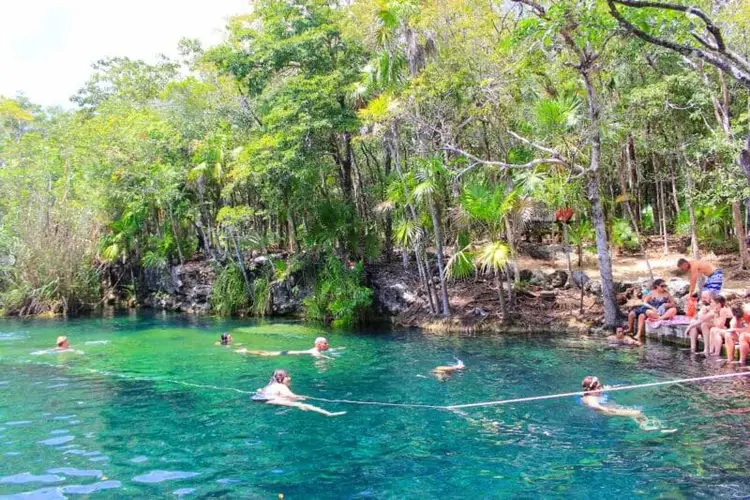 Visitors swim and wade in clear turquoise water surrounded by lush trees and vegetation along a natural cenote shore Visitors swim and wade in clear turquoise water surrounded by lush trees and vegetation along a natural cenote shore