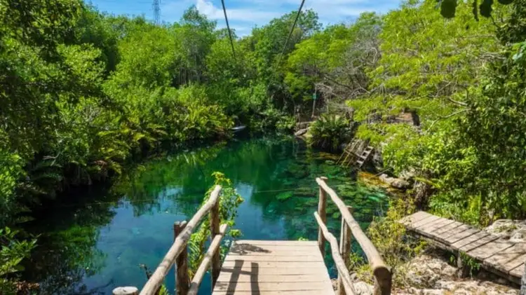 Wooden boardwalk with log railings extending into a turquoise cenote surrounded by dense green vegetation and trees