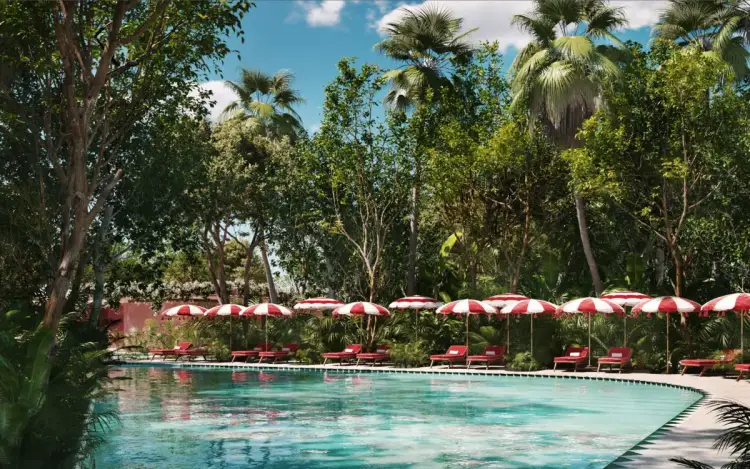 Resort pool surrounded by red and white umbrellas and lounge chairs, backed by tropical trees and palm fronds under blue sky Resort pool surrounded by red and white umbrellas and lounge chairs, backed by tropical trees and palm fronds under blue sky