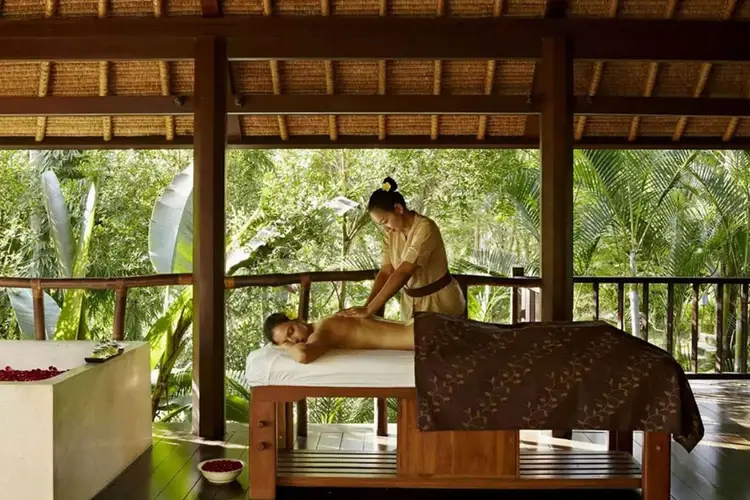 Therapist performing a massage on a client lying on a table in an open-air pavilion surrounded by tropical vegetation