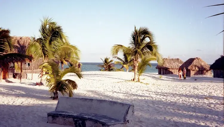 Beach with palm trees, thatched-roof structures and a wooden boat in the sand facing the ocean