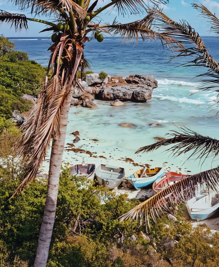 Fishing boats rest on sand beneath palm trees at a tropical beach with turquoise water and rocky outcrops