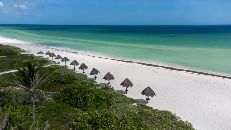 Beach lined with thatched umbrellas and tropical vegetation overlooking turquoise water under clear sky