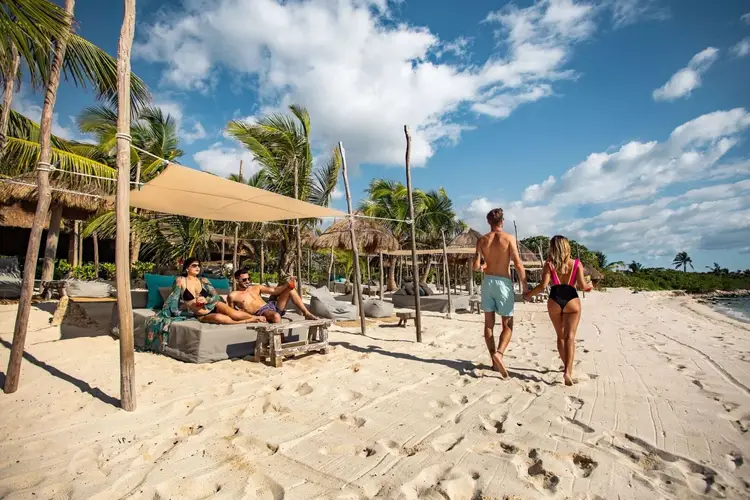 Beachgoers walk past a seaside club with shaded seating areas and palm trees on a sandy beach under blue sky Beachgoers walk past a seaside club with shaded seating areas and palm trees on a sandy beach under blue sky
