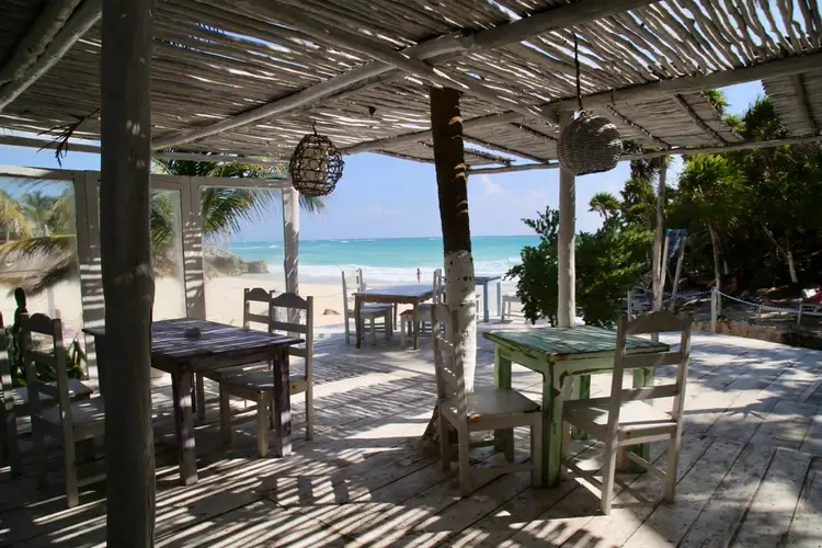 A beachfront dining area with wooden tables and chairs under a slatted pergola overlooks the ocean and sandy shore A beachfront dining area with wooden tables and chairs under a slatted pergola overlooks the ocean and sandy shore
