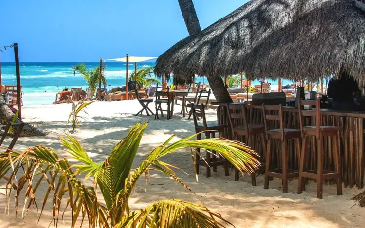 Beach bar with thatched roof structures, wooden chairs and tables, palm fronds in foreground, and turquoise ocean beyond Beach bar with thatched roof structures, wooden chairs and tables, palm fronds in foreground, and turquoise ocean beyond