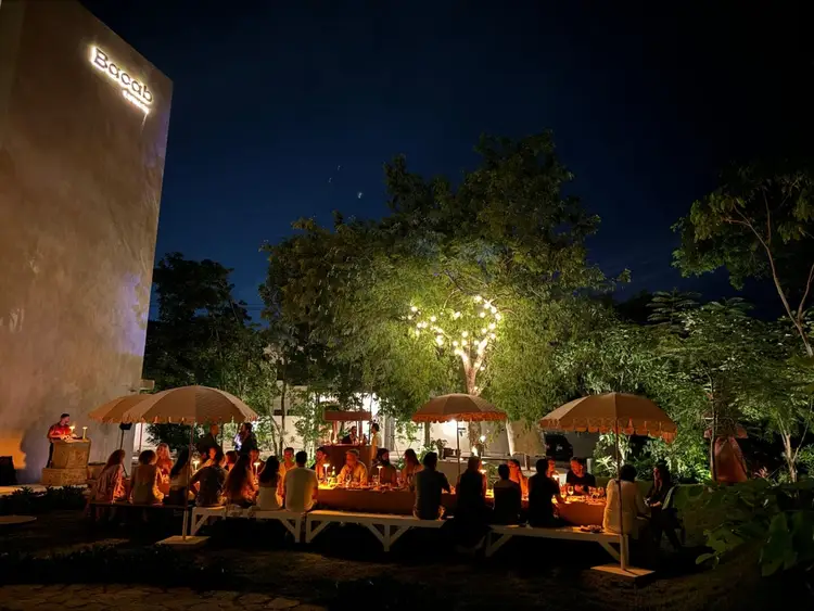 People gather under umbrellas at an outdoor evening event in a courtyard with illuminated trees and a lit building in the background People gather under umbrellas at an outdoor evening event in a courtyard with illuminated trees and a lit building in the background