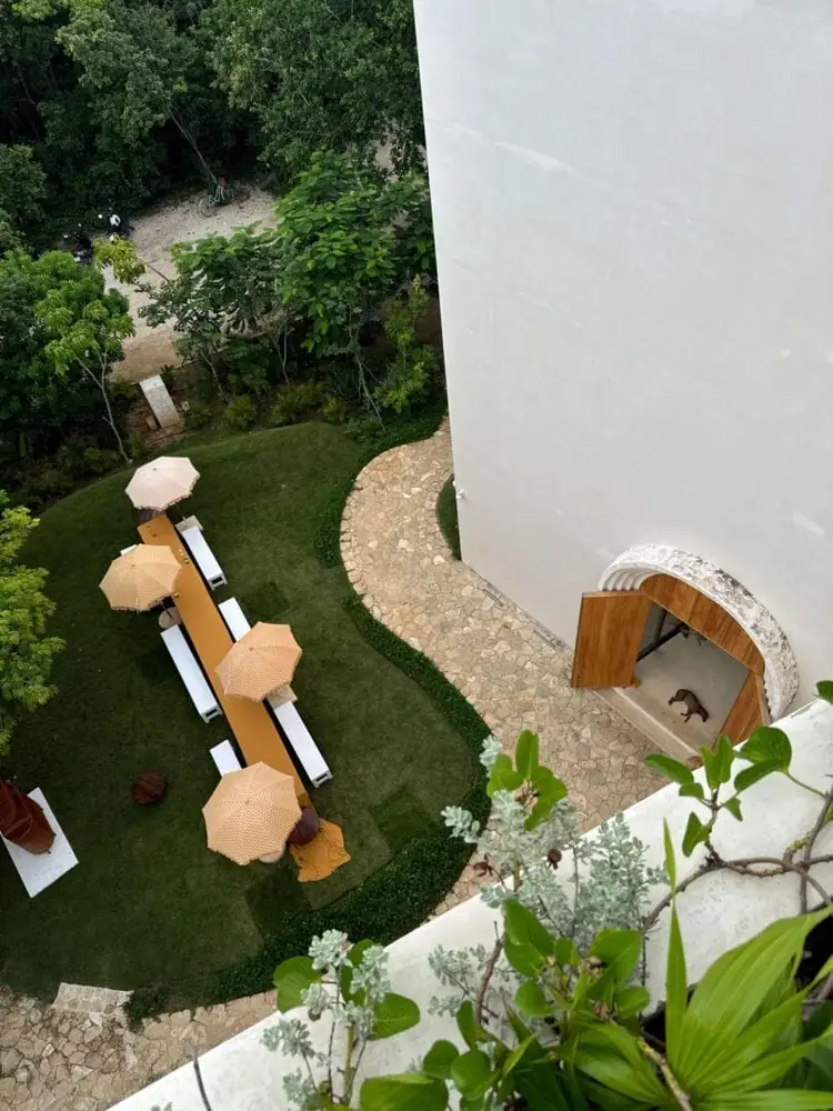Aerial view of a residential garden with lounge chairs under umbrellas, a curved gravel pathway, and a modern structure with wooden elements surrounded by lush Aerial view of a residential garden with lounge chairs under umbrellas, a curved gravel pathway, and a modern structure with wooden elements surrounded by lush