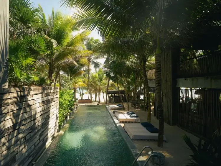Narrow pool runs between palm trees and residential buildings in a tropical setting with loungers and shade structures nearby Narrow pool runs between palm trees and residential buildings in a tropical setting with loungers and shade structures nearby