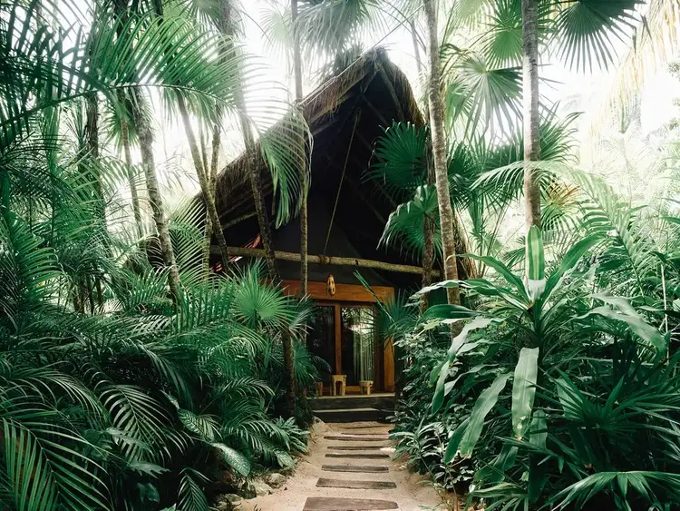 A thatched-roof tropical bungalow surrounded by dense palm vegetation with a wooden pathway leading to its entrance A thatched-roof tropical bungalow surrounded by dense palm vegetation with a wooden pathway leading to its entrance