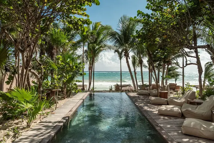 A narrow infinity pool lined with lounge chairs runs through palm trees toward the ocean at a beachfront resort A narrow infinity pool lined with lounge chairs runs through palm trees toward the ocean at a beachfront resort