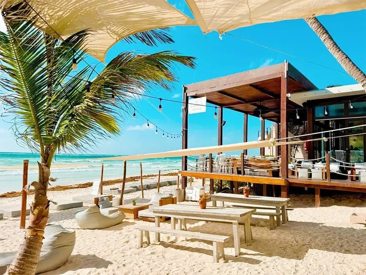 Beach bar with wooden seating, palm trees, and a covered pavilion overlooking turquoise water and sand Beach bar with wooden seating, palm trees, and a covered pavilion overlooking turquoise water and sand