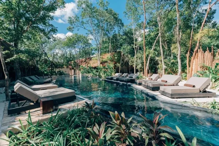 Loungers line a natural pool surrounded by tall trees and tropical vegetation at a resort Loungers line a natural pool surrounded by tall trees and tropical vegetation at a resort