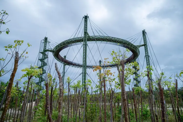 A roller coaster track curves through a forest of tall wooden poles under a cloudy sky