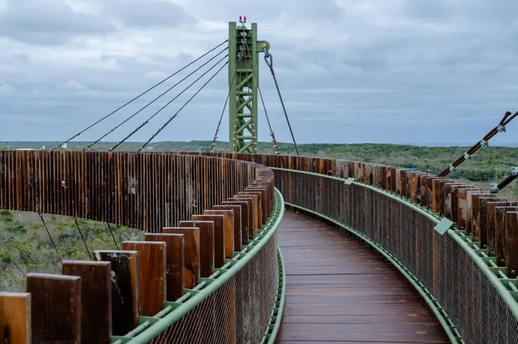Wooden pedestrian bridge curves through grassland landscape with green structural tower and cable supports overhead