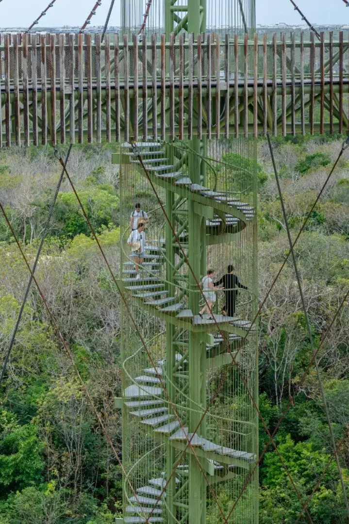 Visitors climb spiral stairs along a green metal tower through a forested canopy landscape