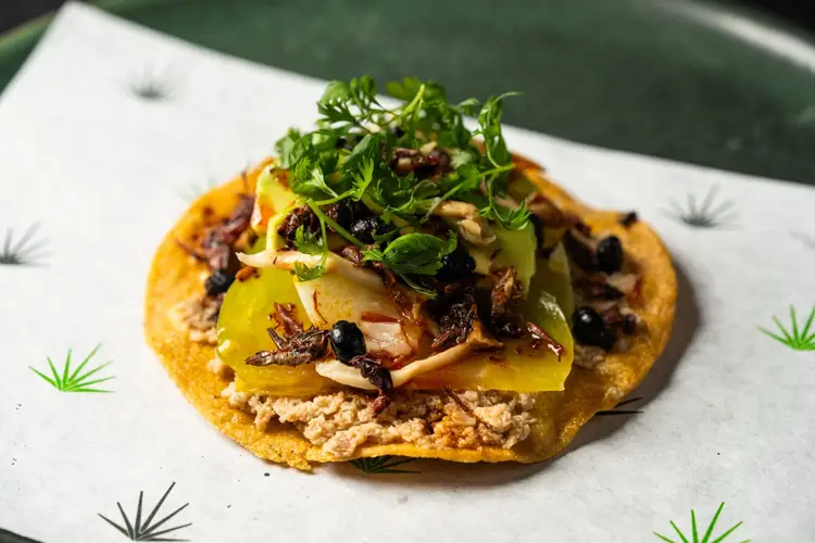 Fried tortilla topped with shredded chicken, sliced onions, green herbs and dark peppers on a patterned white plate Fried tortilla topped with shredded chicken, sliced onions, green herbs and dark peppers on a patterned white plate