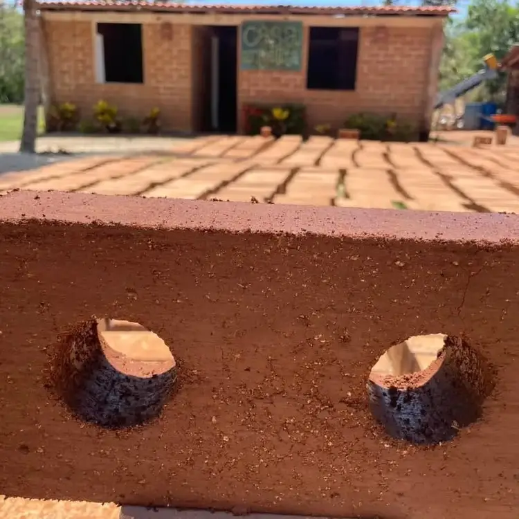 Clay bricks with two round holes dry in the sun outside a brick building under construction Clay bricks with two round holes dry in the sun outside a brick building under construction