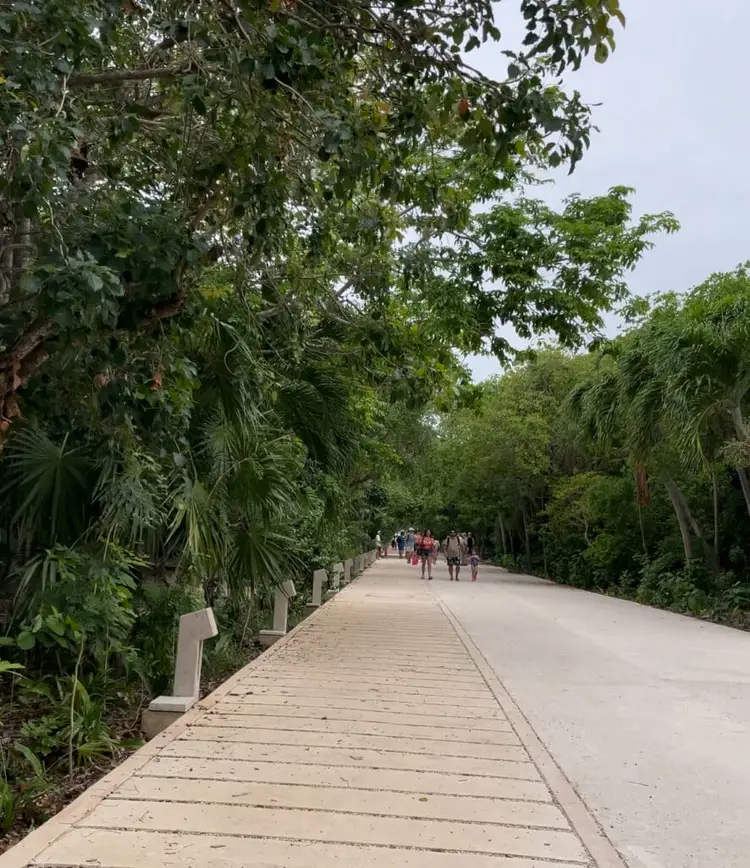 A paved pathway lined with tropical vegetation and palm trees extends toward a group of visitors walking in the distance