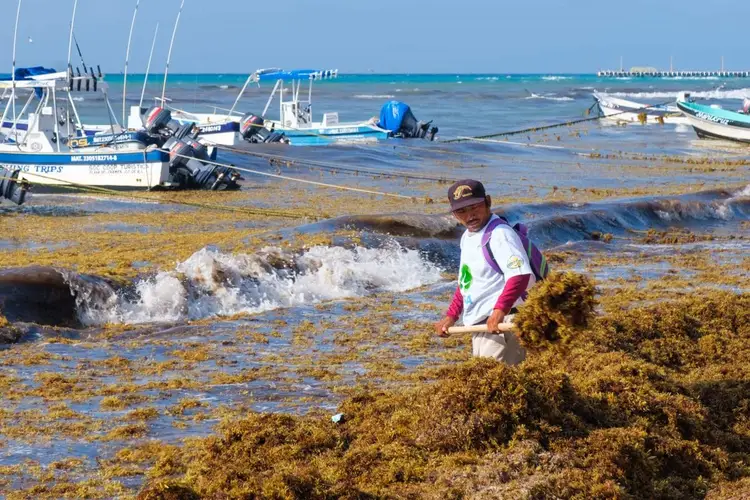 Person wading through seaweed-covered shallow water near fishing boats anchored offshore Person wading through seaweed-covered shallow water near fishing boats anchored offshore