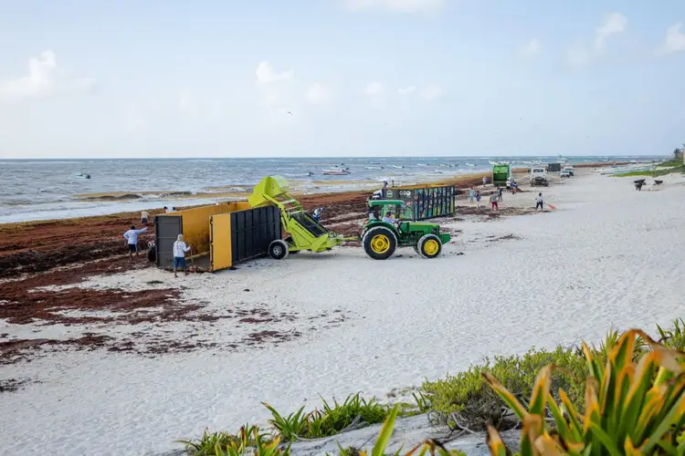 Heavy machinery and workers collect seaweed from a beach as boats sit in the water offshore Heavy machinery and workers collect seaweed from a beach as boats sit in the water offshore