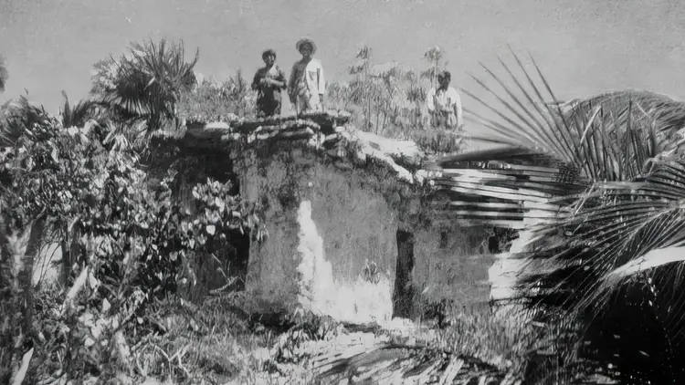Several people stand atop a crumbling stone structure surrounded by tropical vegetation and palm fronds in a jungle setting Several people stand atop a crumbling stone structure surrounded by tropical vegetation and palm fronds in a jungle setting