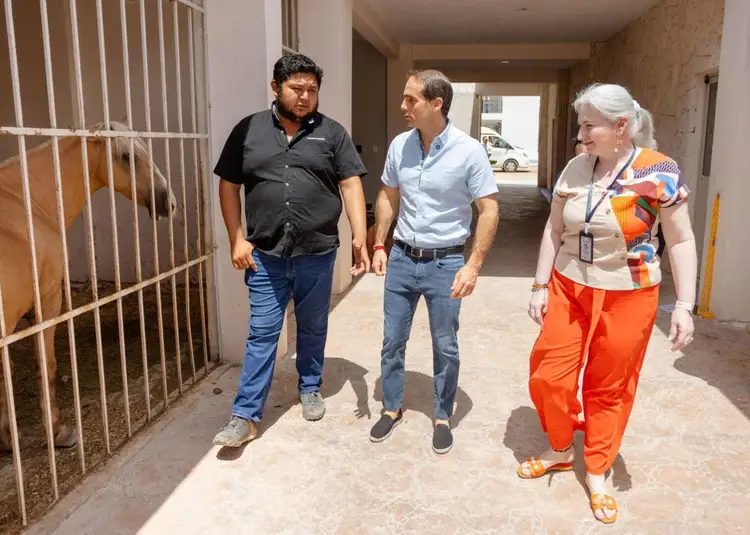 Three people walk through a corridor past a pen containing a horse during a facility tour Three people walk through a corridor past a pen containing a horse during a facility tour